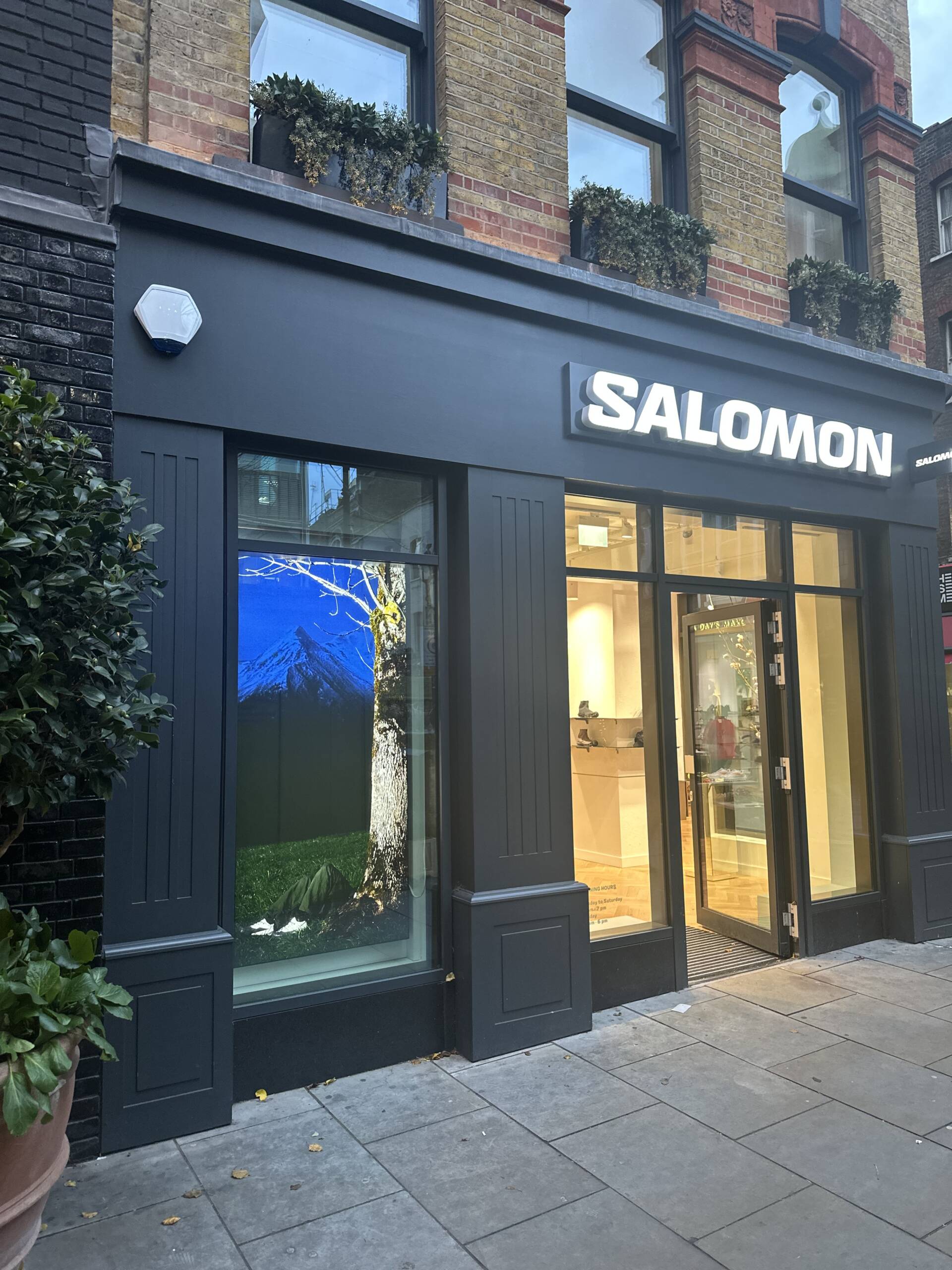 Salamon, Soho