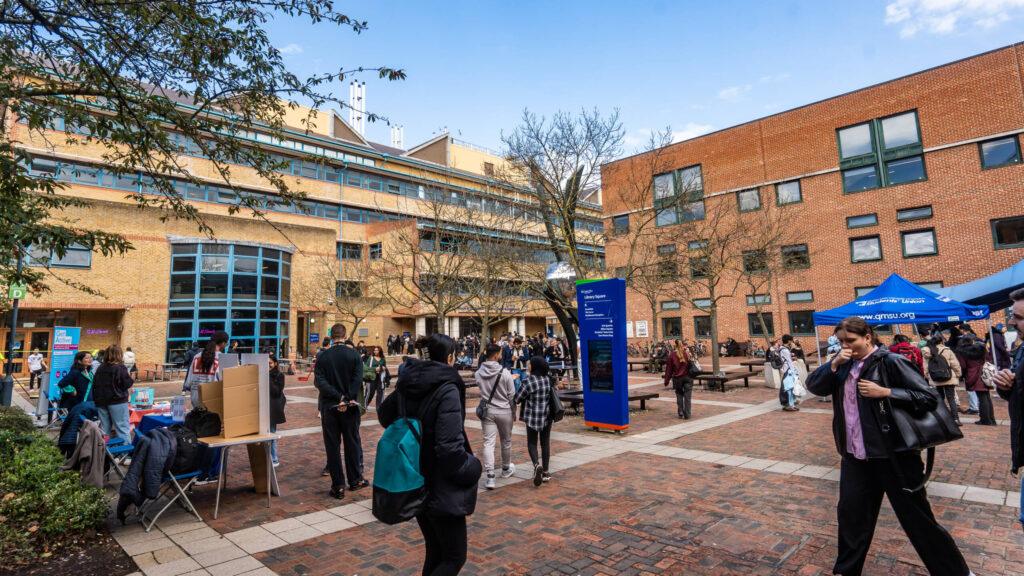 Pembroke Bull Projects 15 scaled 1