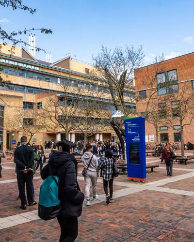 Pembroke Bull Projects 15 scaled